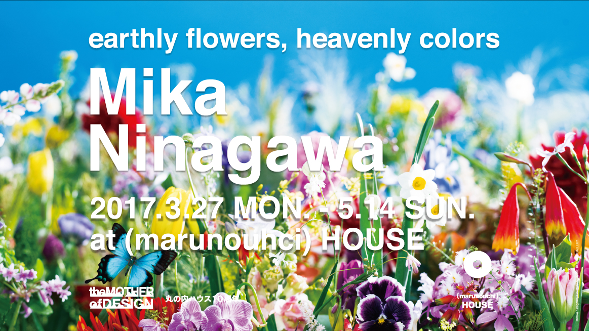 個展「earthly flowers, heavenly colors」新丸ビル7階、丸の内ハウス