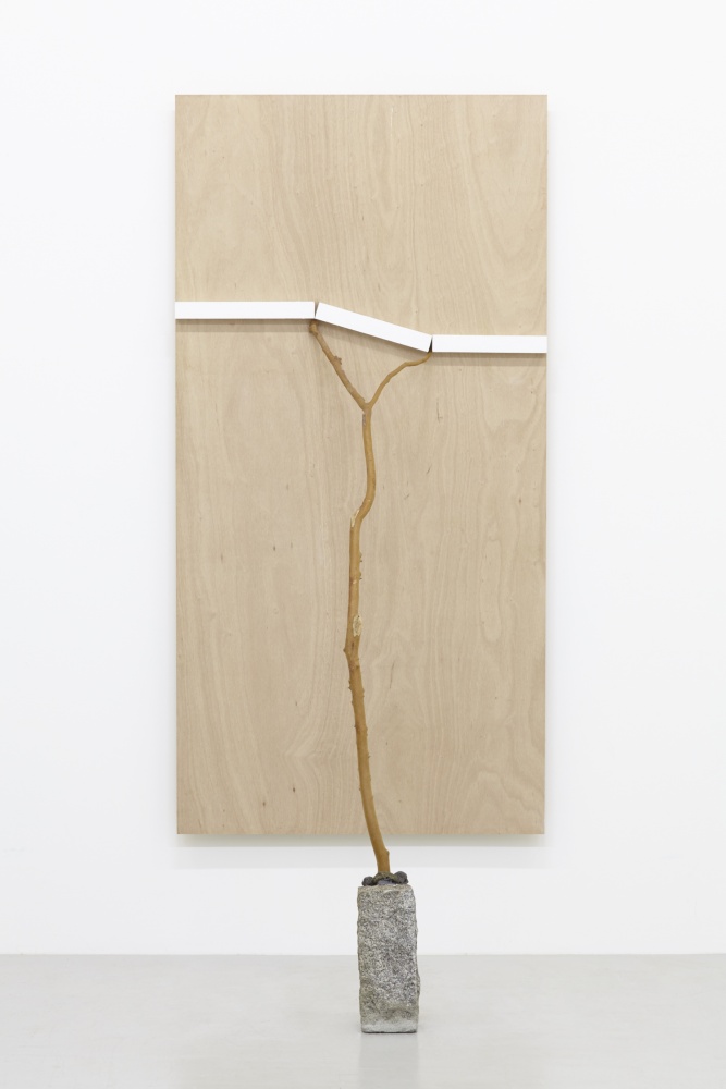 希少 菅木志雄 『複奌解 オリジナル作品（サイン有り）　36.5×26　2008 菅木志雄 展 （小山登美夫ギャラリー六本木） ｜Tokyo Art Beat