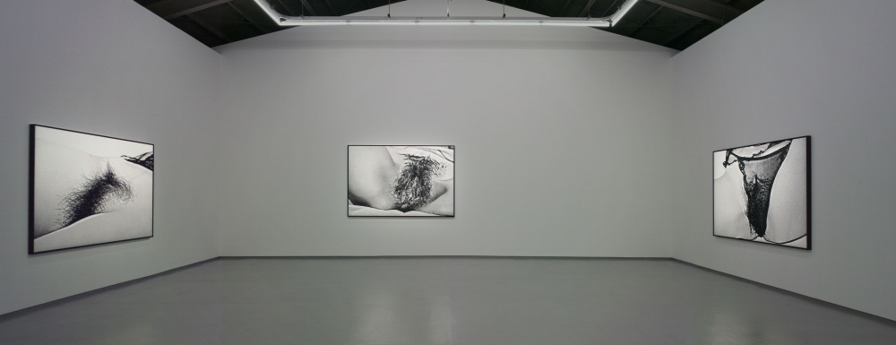 蜜が蜂を呼ぶように。 Like Nectar Attracting Bees」 – Tomio Koyama