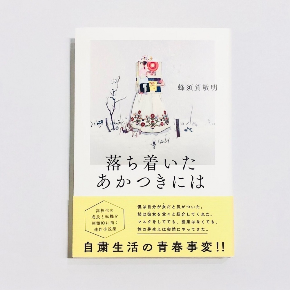 安藤正子 / 蜂須賀敬明 小説『落ち着いたあかつきには』（単行本