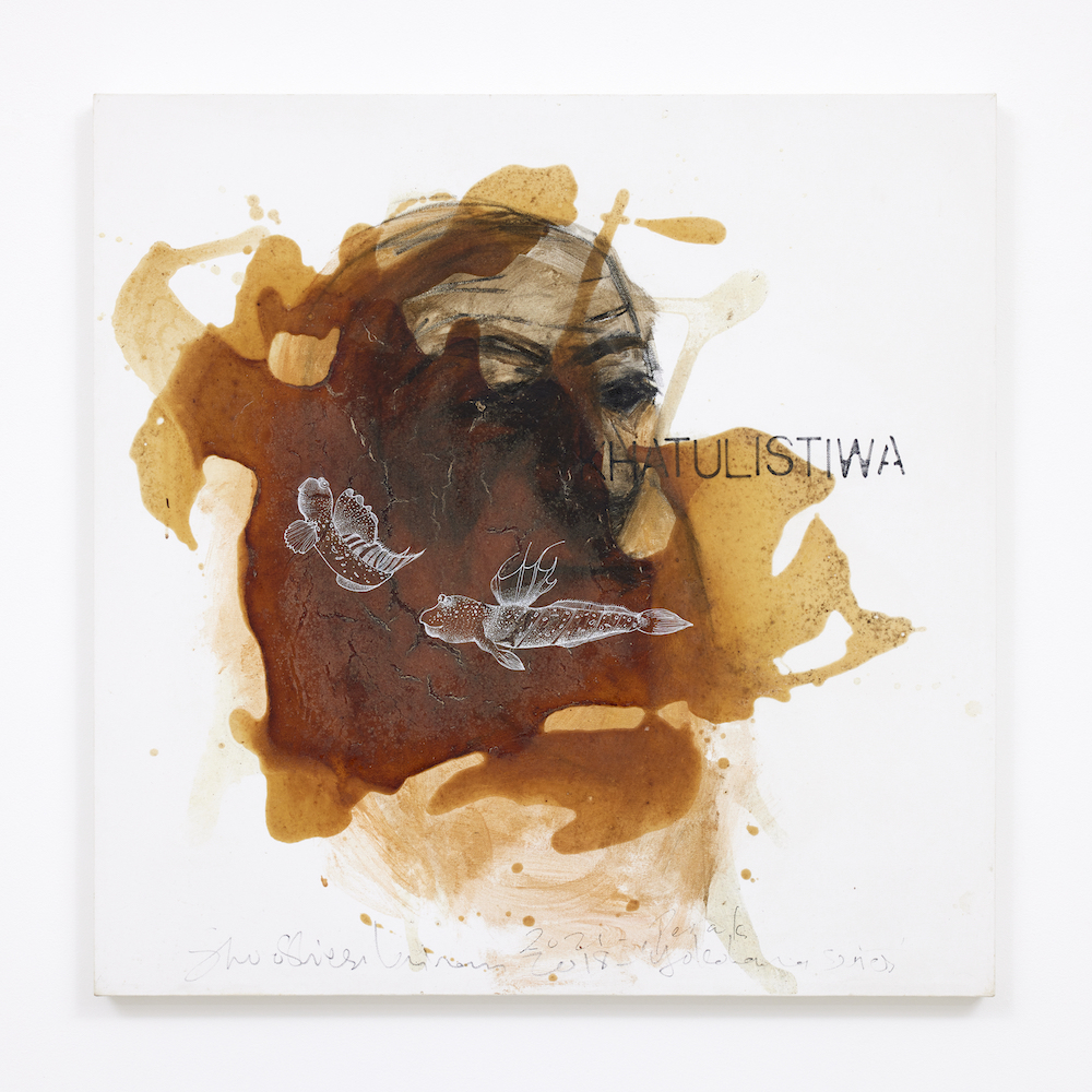 ©︎Shooshie Sulaiman