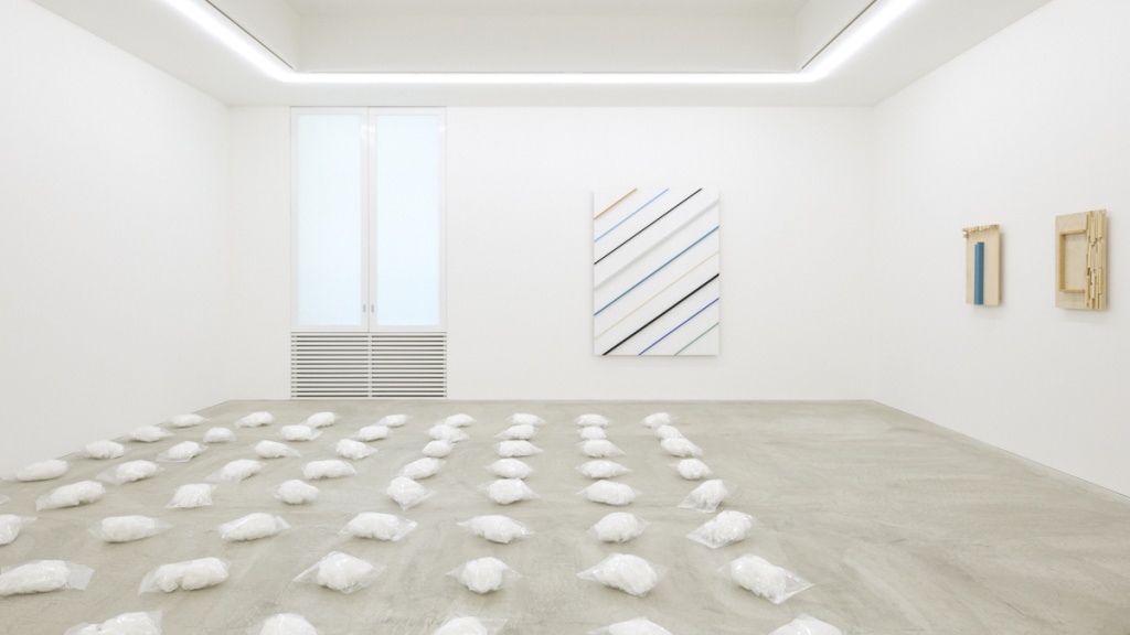 長井朋子 / 個展「Thousands of Finches」A/D Gallery、六本木ヒルズ