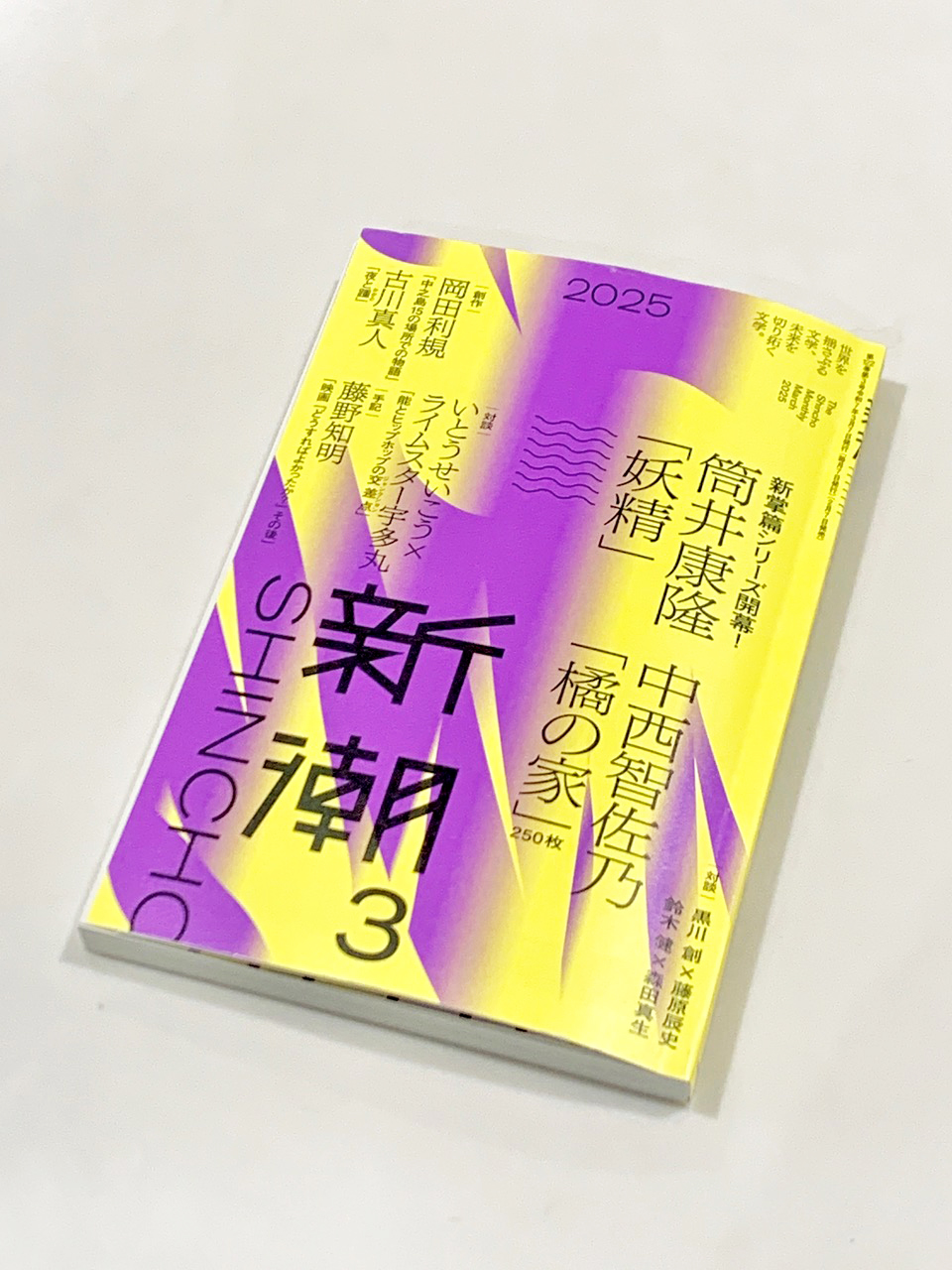 日高理恵子 /『新潮』2025年3月号の挿画に採用されました – Tomio