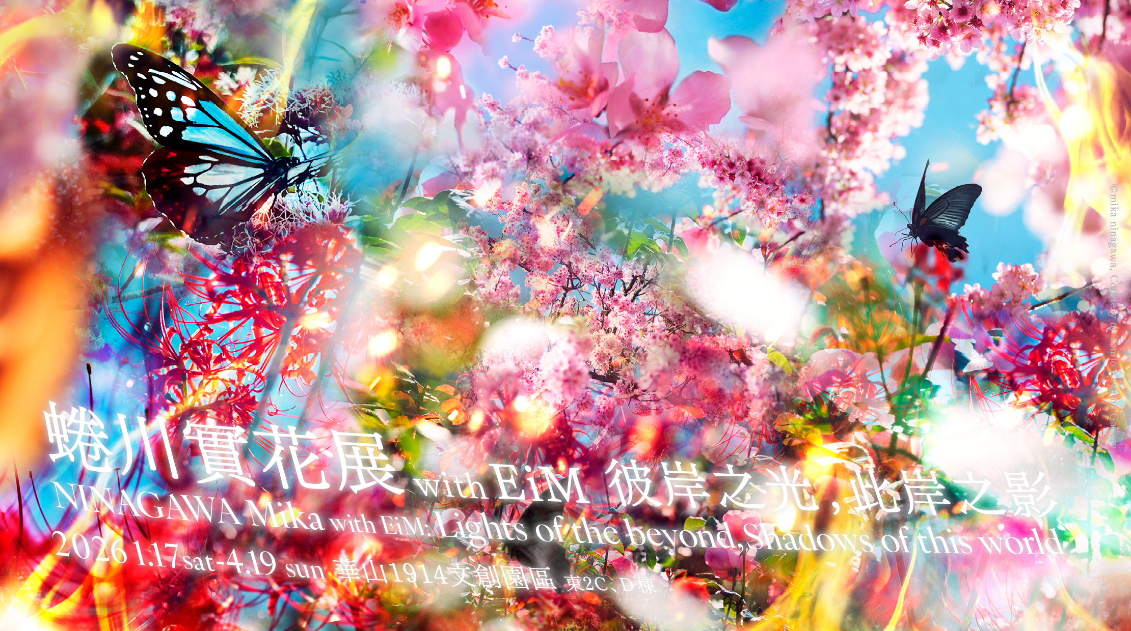 | Hiroshima Scene （Art Craft EiM：彼岸の光、此岸の影」華山 【真作】【WISH】白井大澄 「椿」SM 油彩 ◆花瓶花逸品　新美術家集団委員、個展（そごう他）38、都知事賞他多数、愛知 #19044720